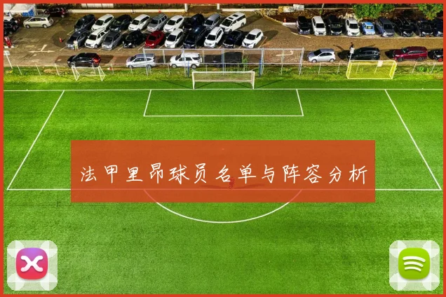 法甲里昂球员名单与阵容分析