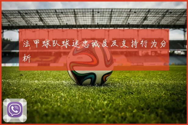 法甲球队球迷忠诚度及支持行为分析