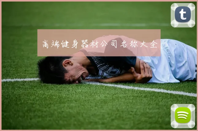 高端健身器材公司名称大全