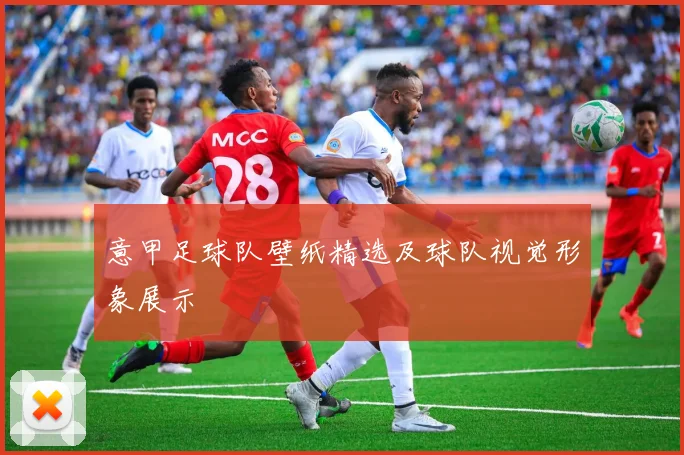 意甲足球队壁纸精选及球队视觉形象展示