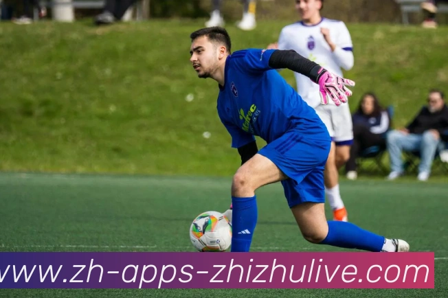 蜘蛛直播发展历程